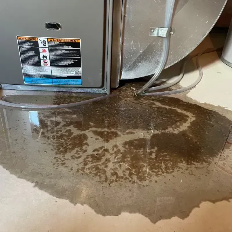 Appliance Leak Cleanup in Shepherdsville, KY